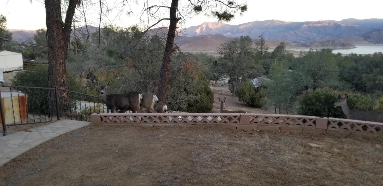 3Br Panoramic Lake View, Sequoia Forest, Kern County Wofford Heights 外观 照片